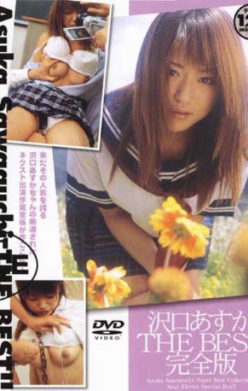 The Best Complete Edition - Asuka Sawaguchi (VNDS-451)